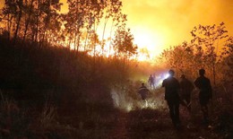 Vì sao liên tiếp cháy rừng ở nhiều địa phương?