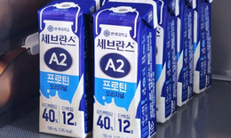 Kiddo Care địa chỉ uy tín chuyên bán thức uống Protein A2 xanh Yonsei