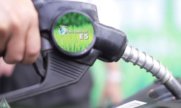 C&#225;ch g&#236; để người d&#249;ng mặn m&#224; với xăng sinh học?