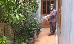 Số ca mắc sốt xuất huyết tăng, Hải Phòng yêu cầu giám sát chặt