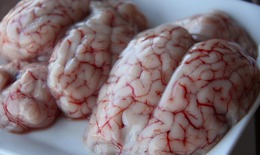 Ăn óc động vật và nguy cơ mắc căn bệnh chết người Prion