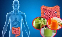 Lợi &#237;ch của chế độ ăn uống c&#226;n bằng với sức khỏe đường ruột