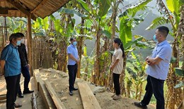 Cao Bằng ghi nhận ca tử vong đầu ti&#234;n nghi do ho g&#224; ở trẻ sơ sinh