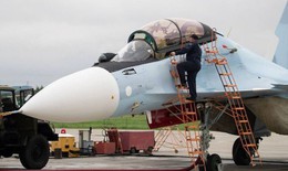 Ukaine nói Su-30SM trị giá 50 triệu đô của Nga bị thiêu rụi