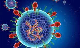 Giao mùa, cảnh giác với virus hợp bào hô hấp ở trẻ nhỏ