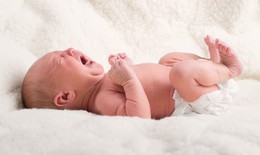 Rối loạn chuyển hoá axit amin gây độc cho tế bào và nhiều cơ quan trong cơ thể