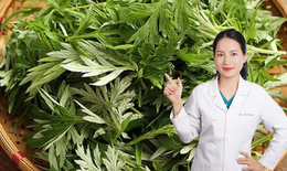 Hành trình phát triển chuyên môn, giúp đỡ người bệnh của nữ dược sĩ trẻ