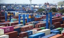 Linh hoạt th&#237;ch ứng với ch&#237;nh s&#225;ch thuế mới của Mỹ