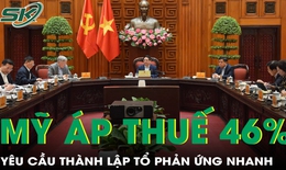 Thủ tướng yêu cầu thành lập Tổ phản ứng nhanh về thuế đối ứng của Hoa Kỳ