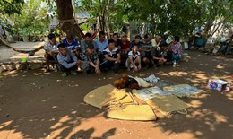 Bắt quả tang 15 đối tượng đang đ&#225; g&#224; ăn tiền