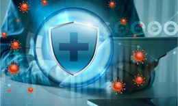 Fucoidan kết hợp nhiều tảo n&#226;u mang đến hiệu quả tốt hơn?