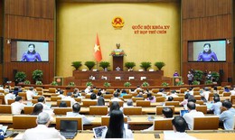 Vận động bầu cử ĐBQH, đại biểu HĐND có thể theo hình thức trực tuyến