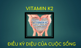 Vitamin K2 -một loại vitamin thiết yếu nhưng dễ bị &#39;l&#227;ng qu&#234;n&#39;