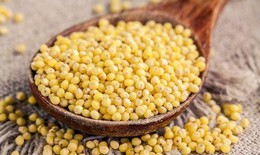 Loại hạt 'nhỏ mà có võ' trong điều trị mất ngủ