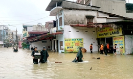 Năm nay có xuất hiện siêu bão giống Yagi không?