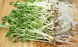 Bí quyết phòng ung thư từ gian bếp nhà bạn
