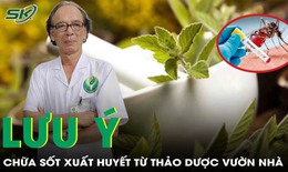 Chữa sốt xuất huyết bằng thảo dược, những điều cần lưu ý