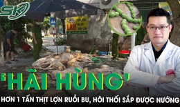 ‘Hãi hùng’ hơn 1 tấn thịt lợn xuất huyết, hôi thối chuẩn bị lên lò nướng, chuyên gia cảnh báo