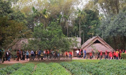 Quê hương luôn trong tâm trí Bác