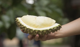 Ăn sầu riêng có giảm cân không?
