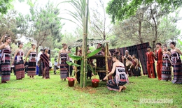 Tái hiện lễ cúng thần rừng, thần núi giữa Thủ đô