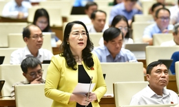 Đề nghị bổ sung tòa án chuyên biệt vào hệ thống tòa án