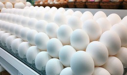 Những lợi ích của ăn trứng vịt vào mùa hè