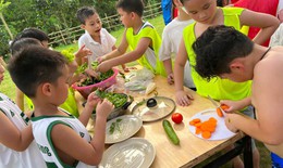 Cha mẹ cần tỉnh t&#225;o chọn kho&#225; học h&#232; cho con, tr&#225;nh &#39;tiền mất tật mang&#39;