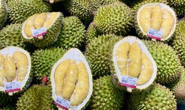 Loạn giá sầu riêng, nơi bán vài chục nghìn nơi hàng trăm nghìn đồng/kg