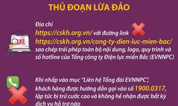 Cảnh báo trang web lừa đảo, giả mạo Tổng công ty Điện lực miền Bắc