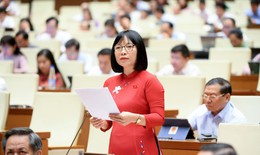 ĐBQH: Bỏ tử hình một số tội danh không phải là khoan dung với tội phạm