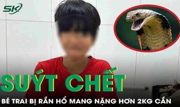Bé trai 13 tuổi suýt chết vì bị rắn hổ mang nặng hơn 2kg cắn
