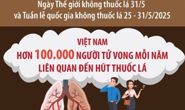 Việt Nam c&#243; tr&#234;n 100.000 người tử vong mỗi năm li&#234;n quan đến h&#250;t thuốc l&#225;