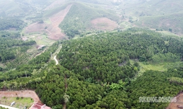 Lạc bước ở ‘ốc đảo’ mắc ca