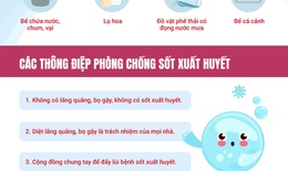 Đã có gần 19.000 ca mắc sốt xuất huyết, bắt đầu vào mùa cao điểm của dịch