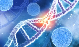 Người mẹ 2 lần mất con vì mang gene bệnh di truyền mà không hay biết