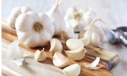 Củ tỏi có tác dụng gì với tim mạch?