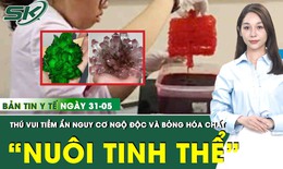 Bản Tin Y Tế 31/5: Hiểm họa khôn lường từ thú vui "nuôi tinh thể"