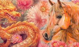 Tử vi 12 con giáp hôm nay 1/6: Thìn trôi chảy, Tuất thông minh nổi trội