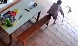 Thót tim video cụ bà 96 tuổi dùng gậy đuổi rắn hổ mang