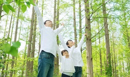 Chiếc cầu nối giữa thi&#234;n nhi&#234;n thuần khiết v&#224; hơi thở khỏe mạnh của gia đ&#236;nh Việt