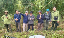 Ninh Thuận chủ động phương án ứng phó trước nguy cơ cháy rừng cao