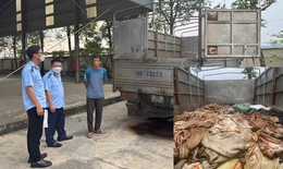 Bắt giữ gần 5 tấn da trâu, bò không rõ nguồn gốc