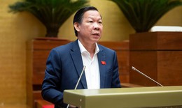 Xem xét quy định viên chức được thành lập và quản lý doanh nghiệp