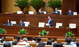 Bộ trưởng Tài chính: Không để thế hệ sau nhiễm bệnh mới đánh thuế nước ngọt
