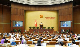 Trình Quốc hội áp thuế TTĐB đồ uống có đường 8% từ 2027, từ 2028 áp dụng 10%