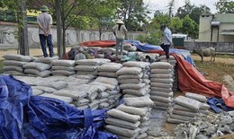 Để hư hỏng hàng trăm tấn xi măng, nguyên Chủ tịch xã có thể đối diện mức án nào?