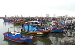 Quảng B&#236;nh hướng dẫn t&#224;u thuyền đang tr&#234;n biển t&#236;m nơi tr&#225;nh tr&#250; b&#227;o số 1