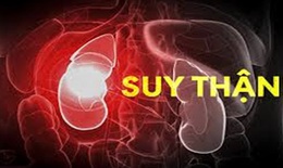 Người bệnh suy thận nên ăn gì?