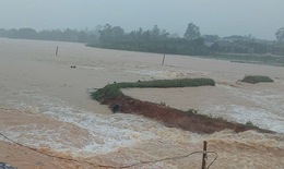 Mưa lớn bất thường giữa m&#249;a h&#232; l&#224;m vỡ đập thuỷ lợi